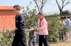 大手拉小手  共植幸福树